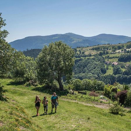 Studio 1 à 2 personnes idéal court séjour Soultz-Haut-Rhin Extérieur photo